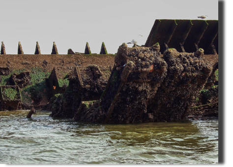 Zylinder der Hauptmaschine Zylinder der Hauptmaschine